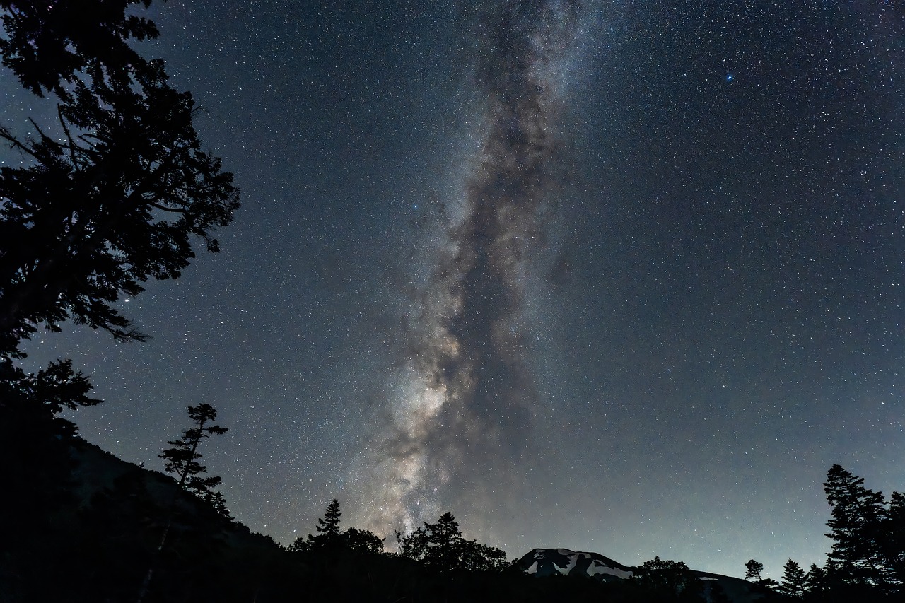 Are We Living in a Holographic Universe?